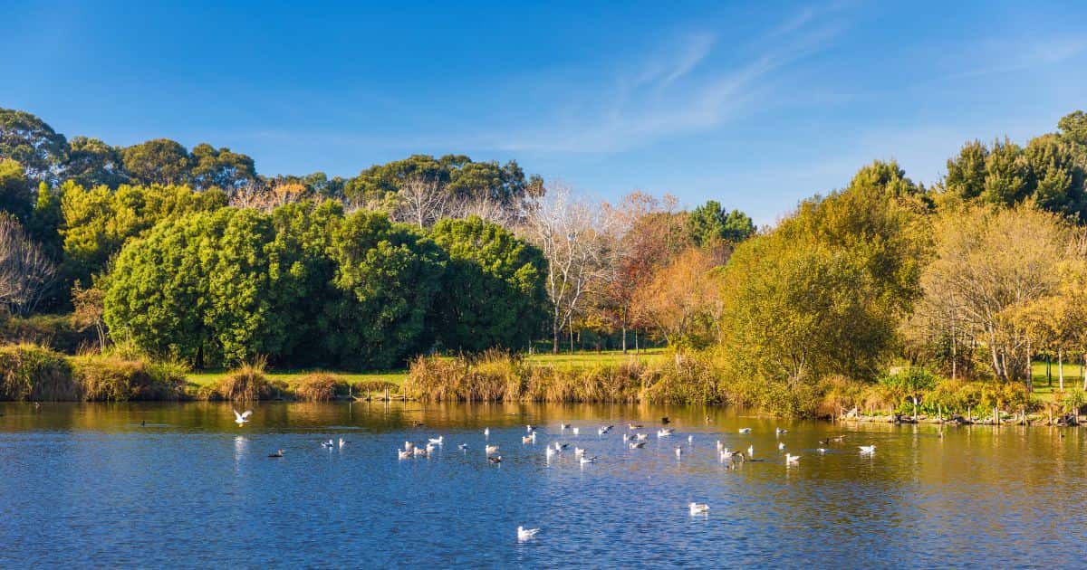 Los jardines del parque da ciudade de oporto, portugal