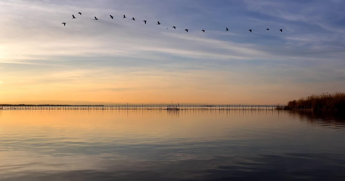 La Albufera de Valencia​, España